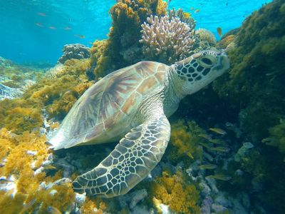 DCIM\100GOPRO\GOPR1283.JPG