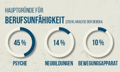Hauptgründe für Berufsunfähigkeit 2024